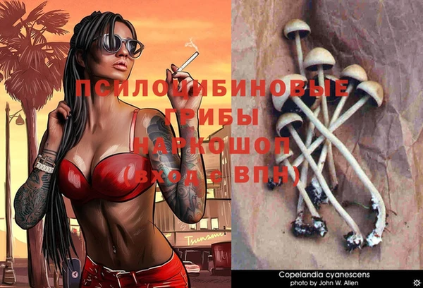 ALPHA PVP Лабытнанги